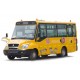 Sinotruk HOWO 100HP Jk6600dxa School Bus