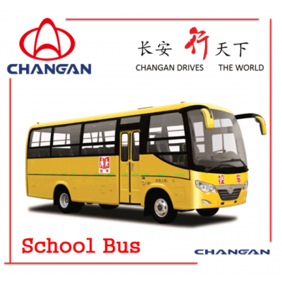 Best Selling School Bus, 6-7m School Bus, 20-30 Seats