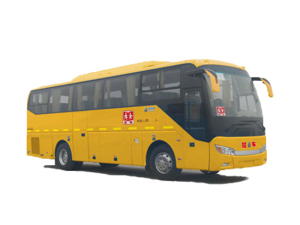 Hot Sale China School Bus of Sinotruk